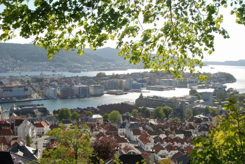 Leilighet New! Modern City Apt: Central W/ Private Entrence Bergen